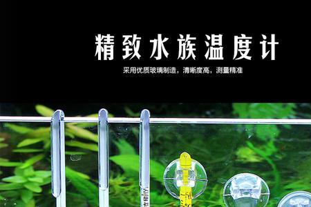 鱼缸温度一般多少度合适
