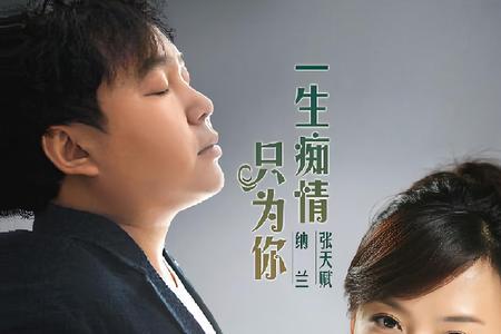 你把痴情给了谁原唱完整版