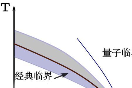 量子的五种形态