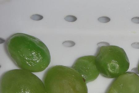 绿色橄榄果是真的吗