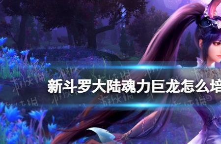 斗罗大陆怎么知道后续