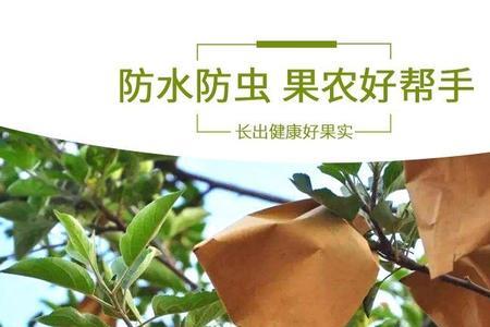 纸袋包装的梨怎么储存