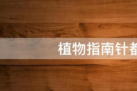 雨是大自然的指南针吗