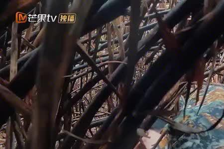 技术拙劣的意思