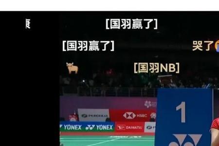 雅思组合的由来