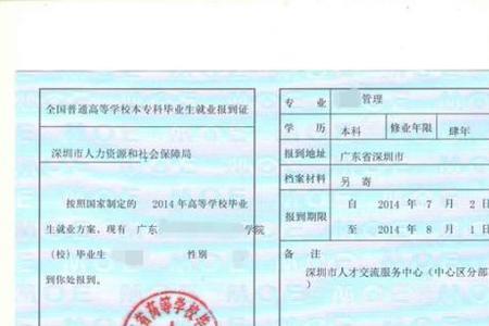 报到证一般什么时候用