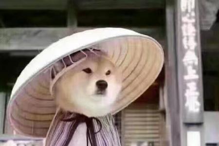 梦想要走是什么意思