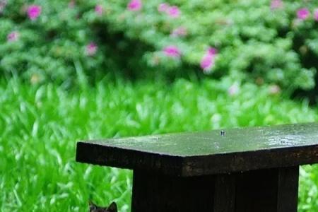 先刮风后下雨雨会下个没完吗