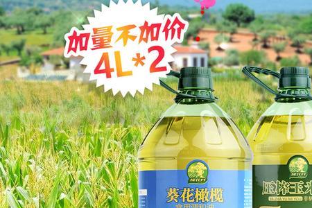 儿童吃葵花籽油还是玉米油好