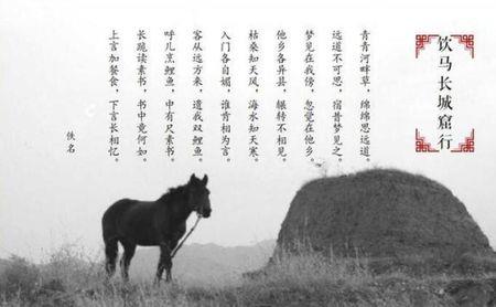 饮马长城窟行主旨