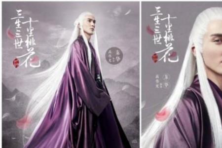 三生三世十里桃花世界结构