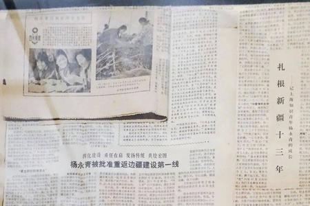 知青里冯小兰的父亲原型