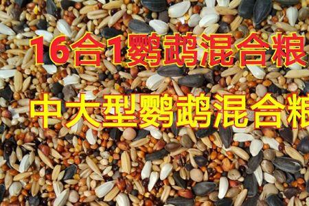 养殖斑鸠喂什么饲料