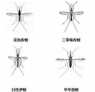 灭害灵通风多久
