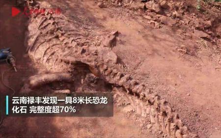 恐龙化石地下多少米