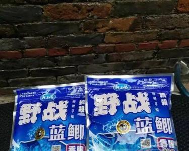 隔夜蓝鲫与现开饵区别