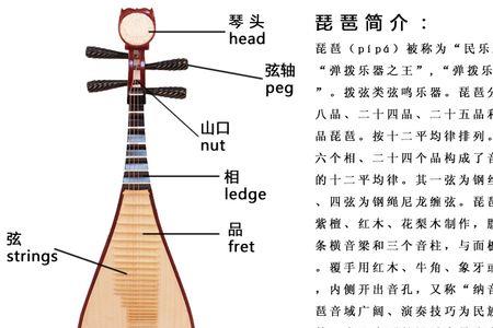 琵琶配件结构示意图图片