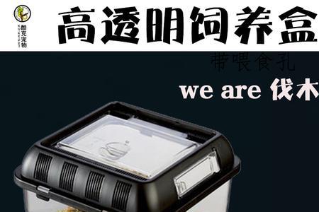 角蛙好养还是守宫好养