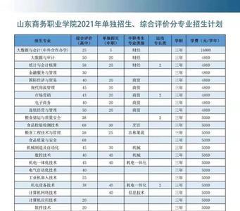 山东商务职业学院单招多少人