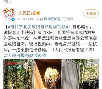 为什么东北虎很少伤人