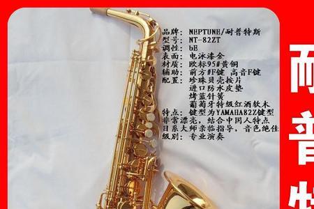 耐普特斯萨克斯几线品牌