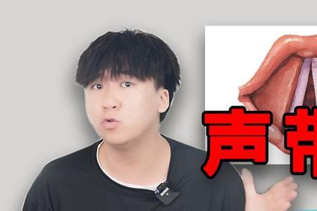 声带闭合可以提高音域吗