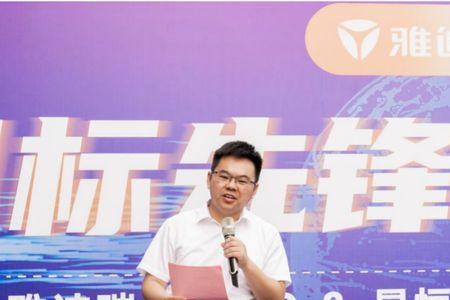雅迪新能安锂电是磷酸铁锂吗