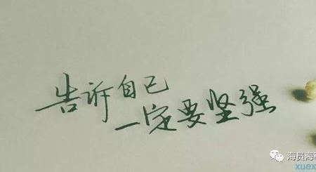 只要你坚强作者