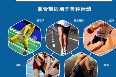 髌骨带发音