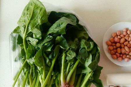 菠菜籽泡了三天会坏吗
