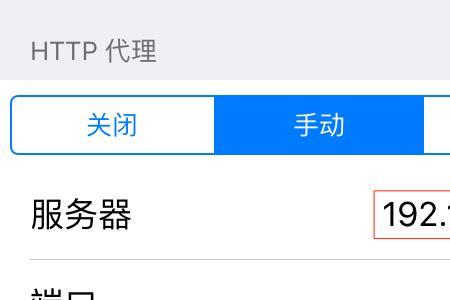 苹果IP地址忘了怎么办