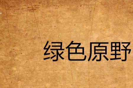 绿色的原野主题歌