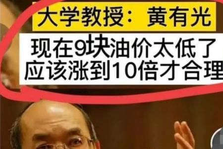 提出汽油涨价的是哪位专家