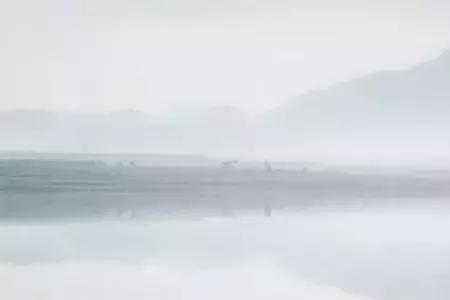 漂泊与飘摇区别