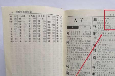 向字查部首是什么