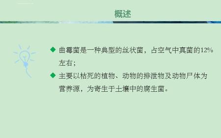 曲霉繁殖方式