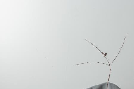 轻浮的人表现是什么