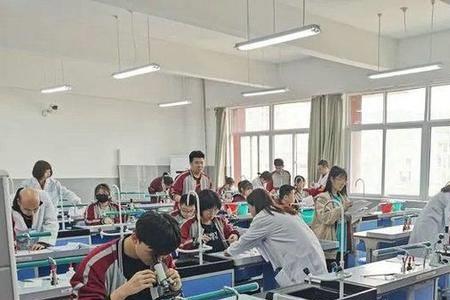 浐灞第七初级中学怎么样