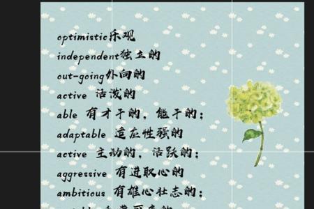 形容人格魅力的词语