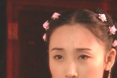 莘瑶琴读音