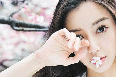 杨颖喜欢什么花