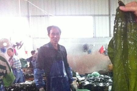 盐渍海带属于腌制品哪