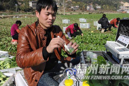 什么农药对蔬菜杀伤力最强