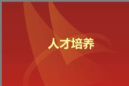 人才培养阶段名称