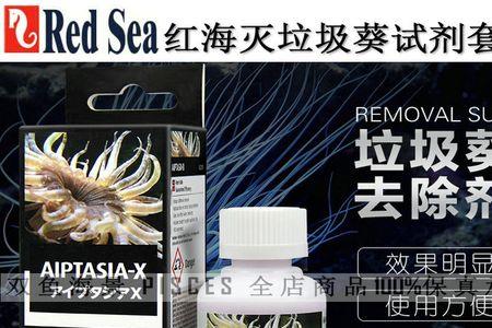 绿疣海葵是垃圾葵吗