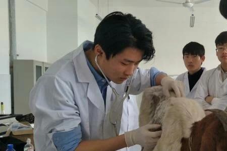 为什么要培养动物医学专业人才