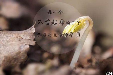 突然想去某地的心情怎么形容
