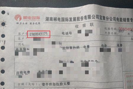 交电费的户号是什么