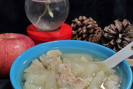 竹参炖排骨怎样做
