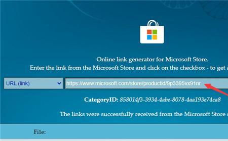win11系统浏览器无法上网